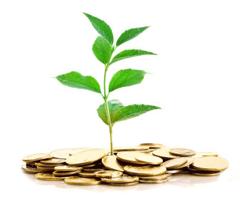 The Self-Directed IRA: Reduce Taxes while Investing in Precious Metals